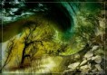 /album/fotografie/circle-nature-m-jpg/